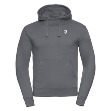 Afbeelding in Gallery-weergave laden, Hoodie Men Grey
