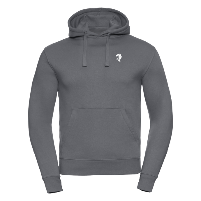 Hoodie Men Grey